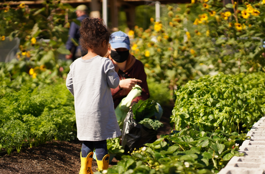 Screen Shot 2024-01-27 at 12.43.53 PM.png__PID:e903b3ee-5927-4ecd-ad9e-56dede579586