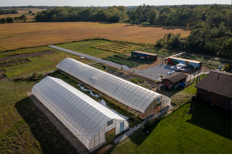 Just Roots Chicago | Cultivating Community