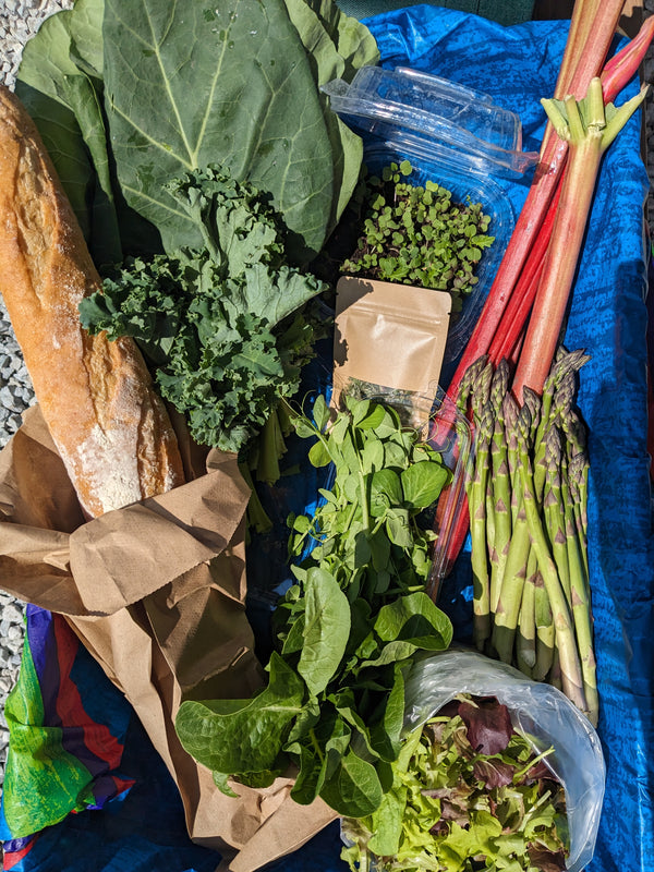 CSA Membership - St. James (Bronzeville, Chicago) – Just Roots Chicago