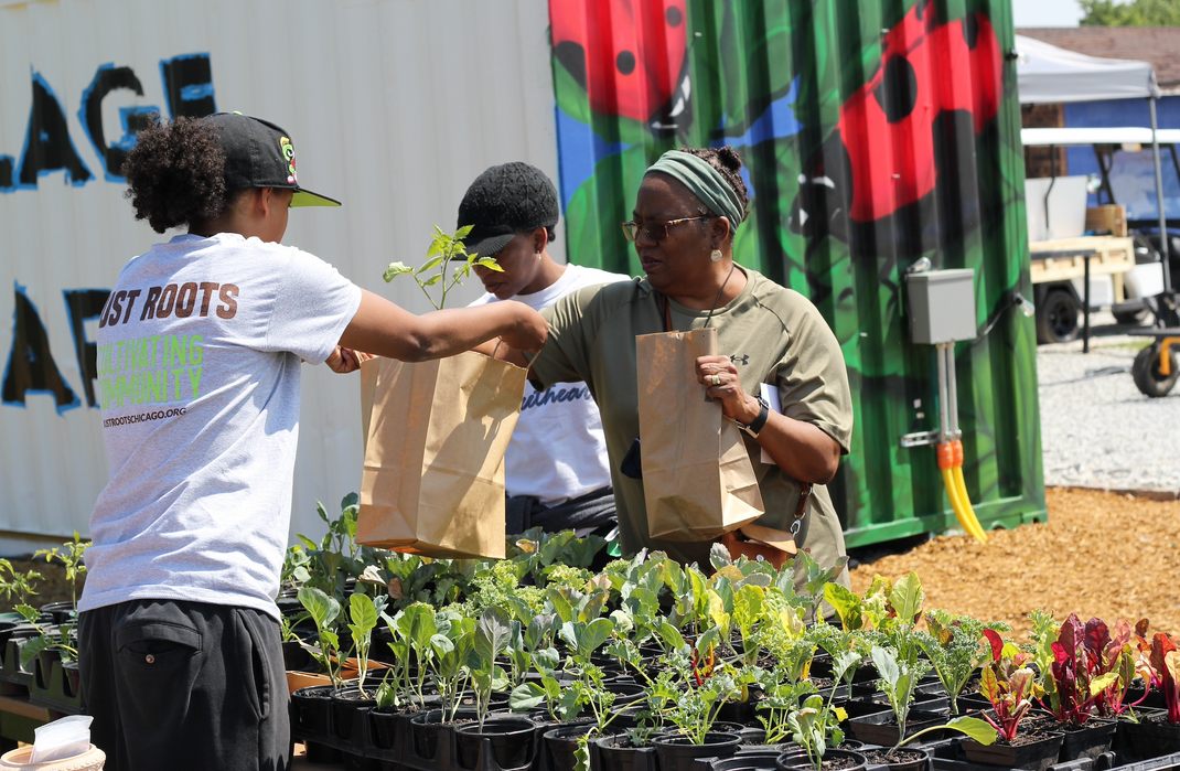 Just Roots Chicago | Cultivating Community
